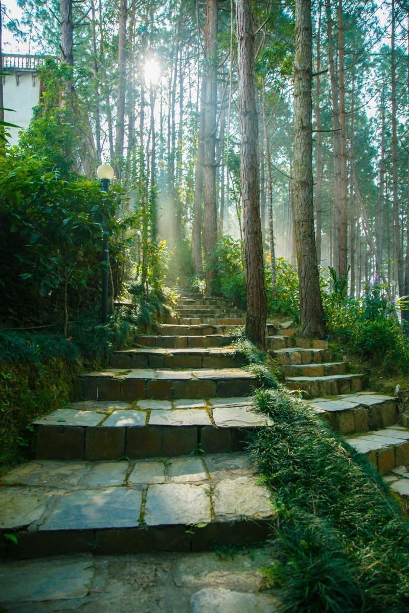 Bandipur Mountain Resort image