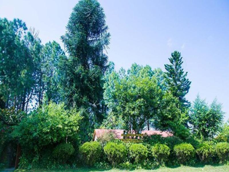 Bandipur Mountain Resort image