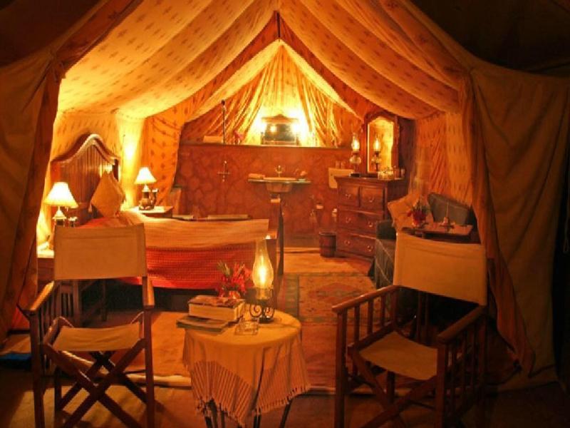 Reggie S Camel Camps