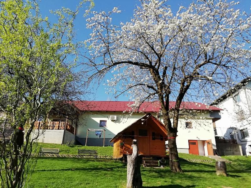 Apartmaji Bungalovi I Sotorisce Silva image