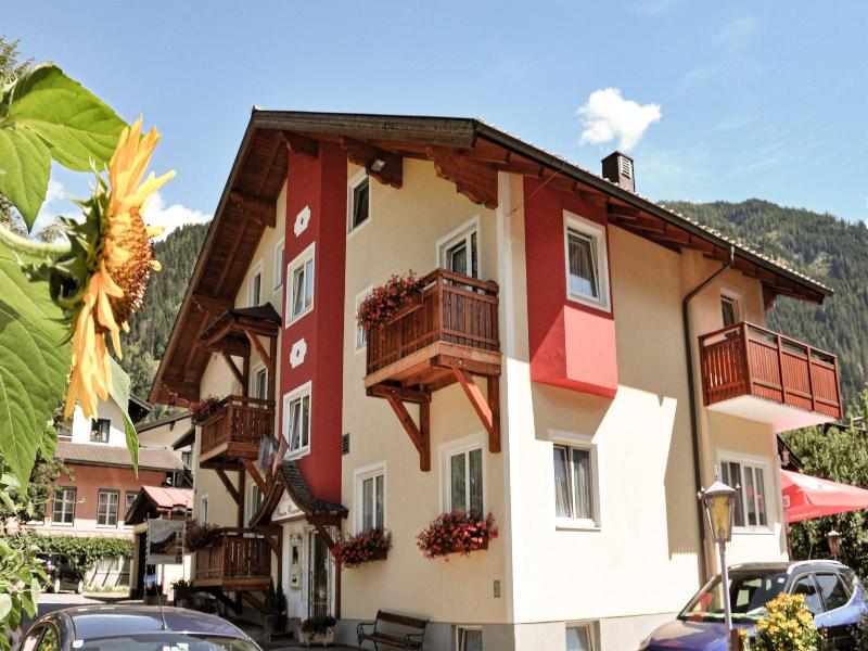 Pension Posauner Dorfgastein image