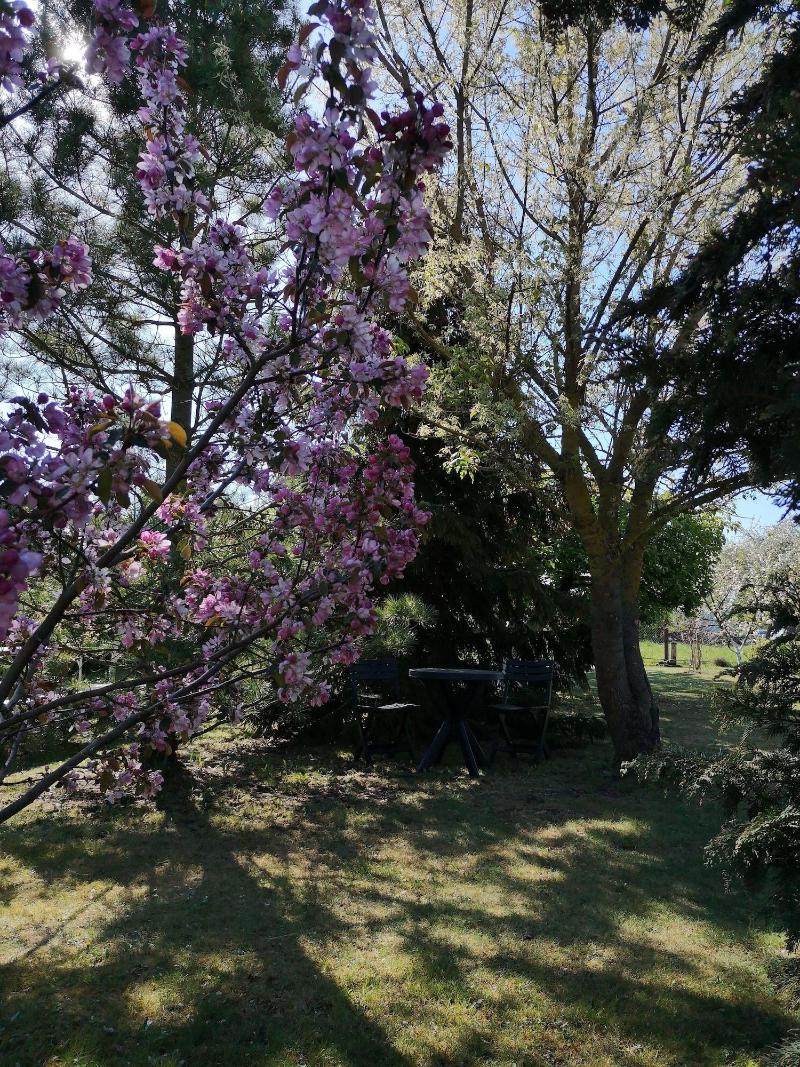 Rural Tourism Homestead Jole — photo 4