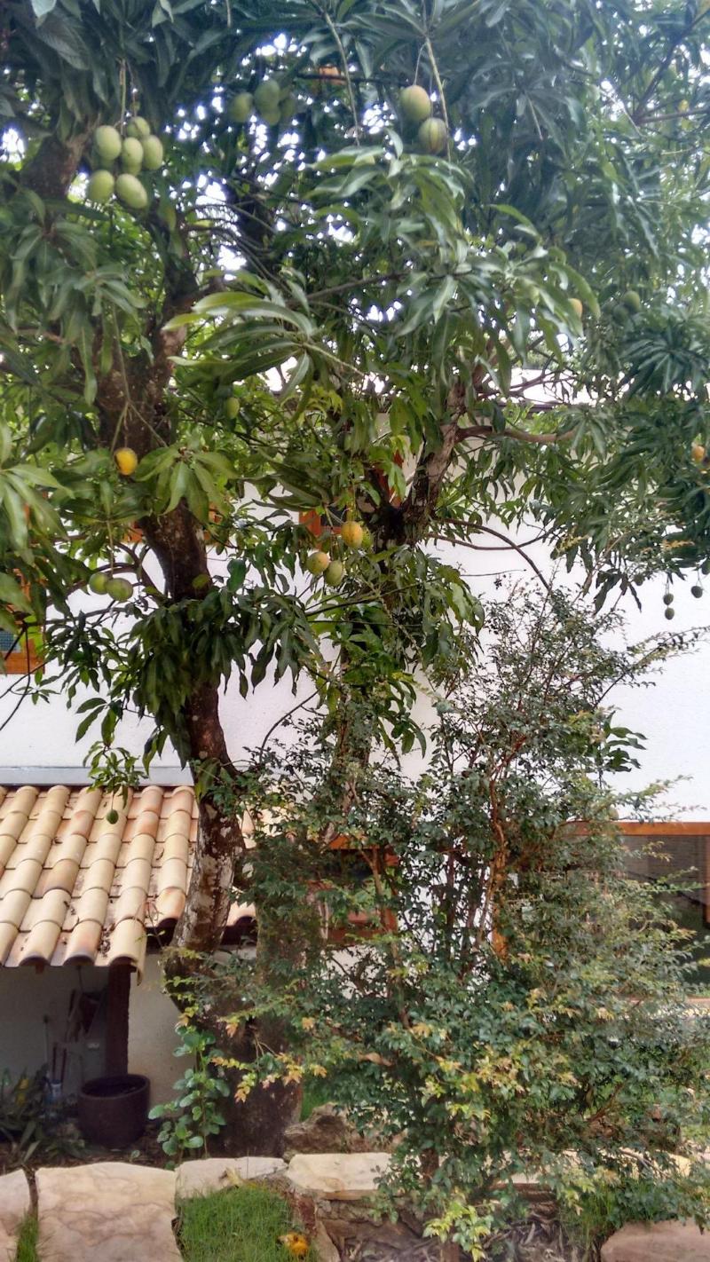 Villa Rica Pousada Boutique image
