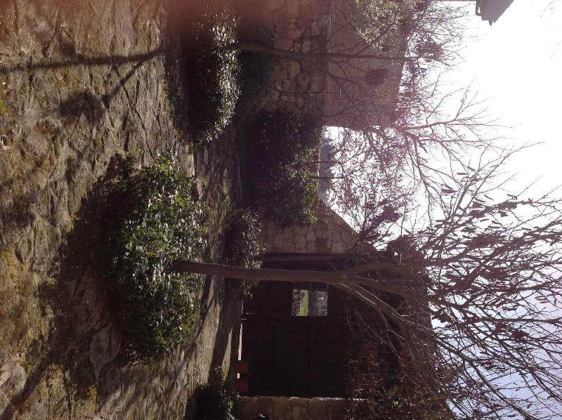 Casa Rota image