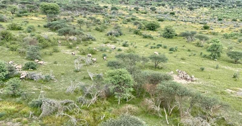 Kifaru Luxury Lodge Bush Camp