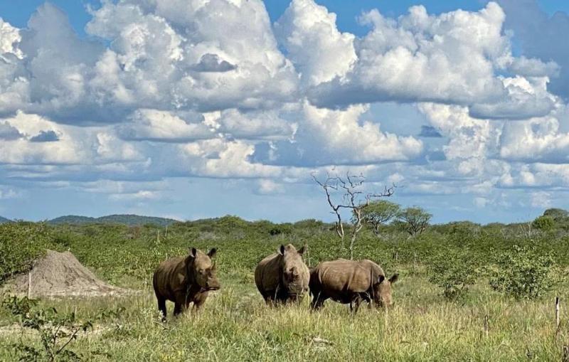 Kifaru Luxury Lodge Bush Camp