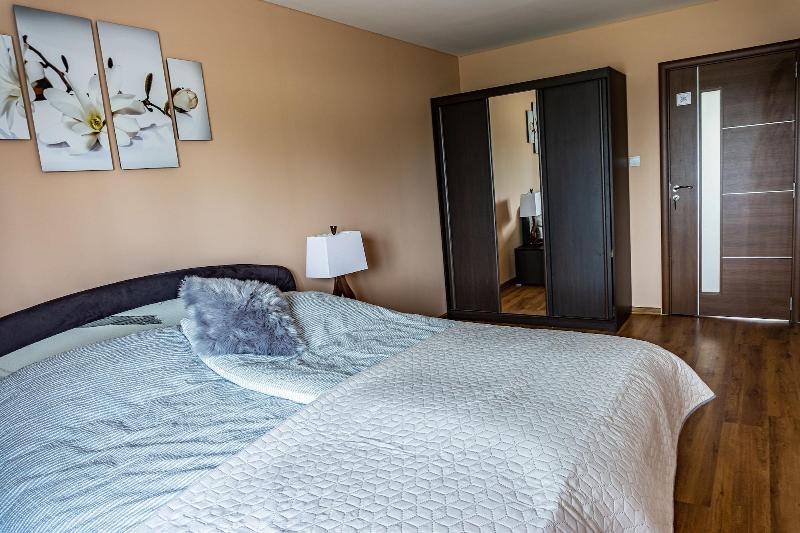 Apartment Eric D11 High Tatras image