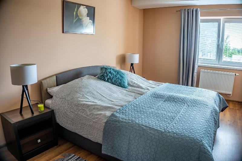 Apartment Eric D11 High Tatras image