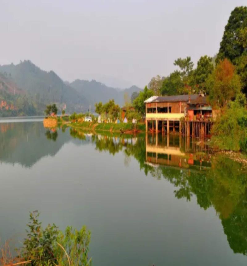 Qing Gu Ju image