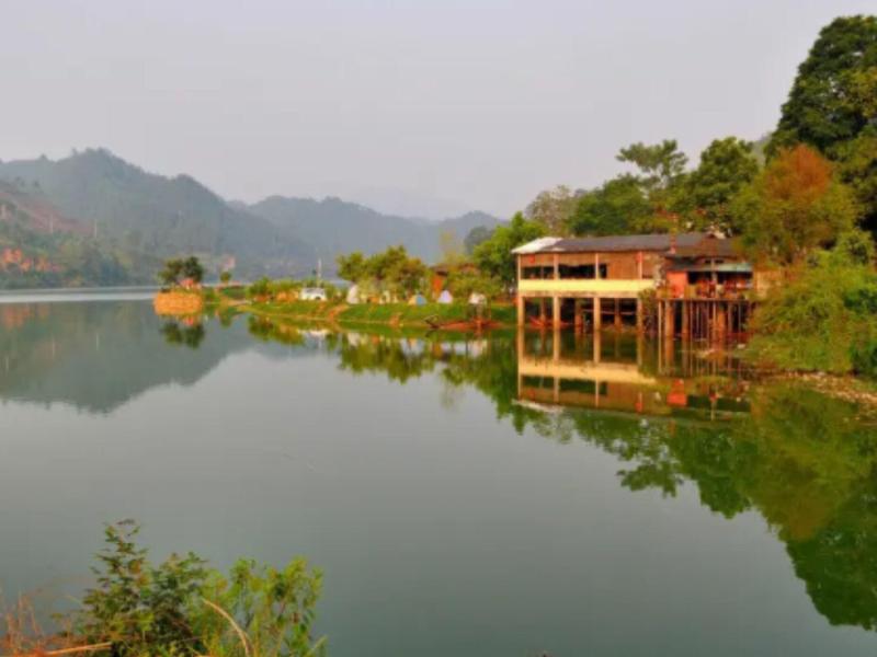 Qing Gu Ju image