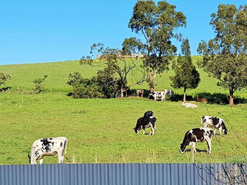 Coragulac House Cottages image