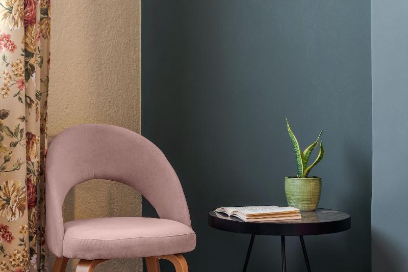 Paeonia image