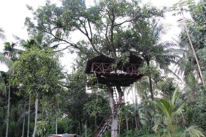 Xotic Resort image