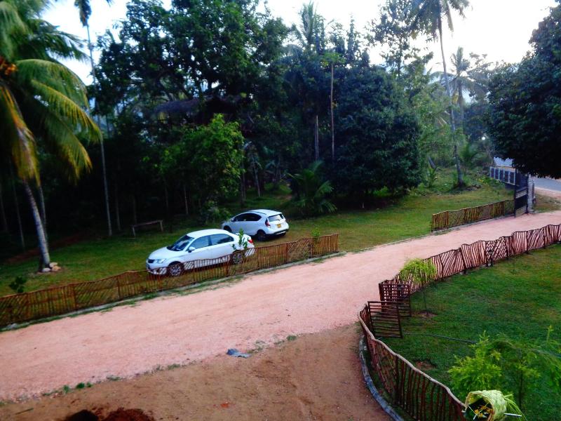 Xotic Resort image