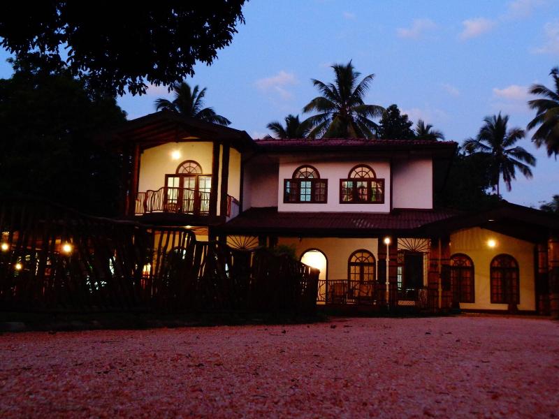 Xotic Resort image