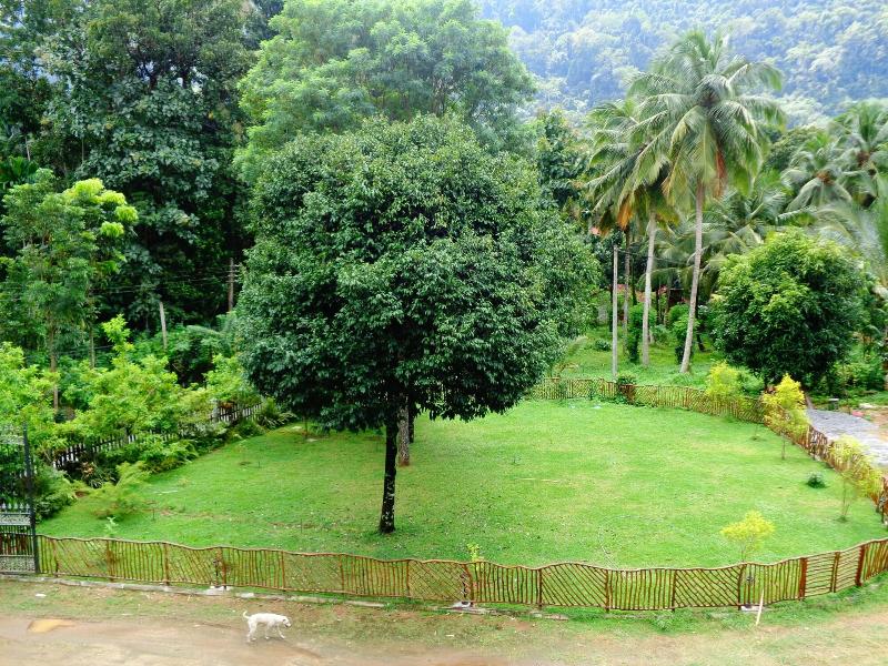 Xotic Resort image