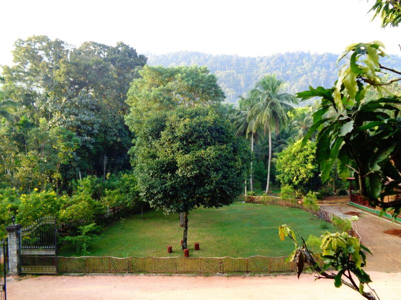 Xotic Resort image
