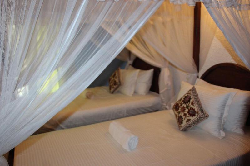 Xotic Resort image
