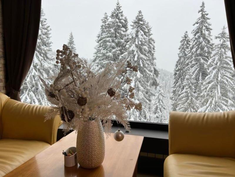 Hotel Kamena Pamporovo image
