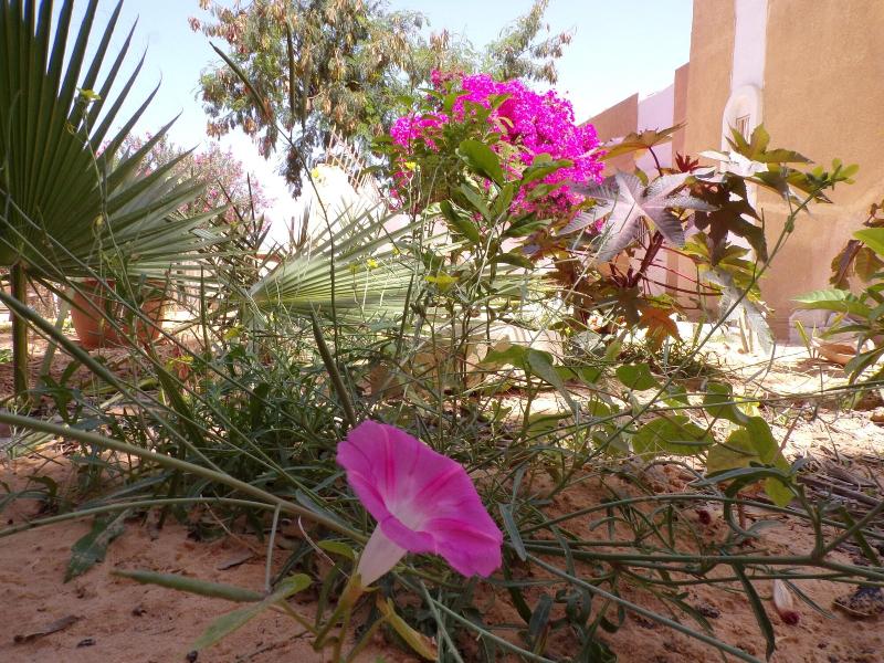 Le Triskell Auberge Hostel image