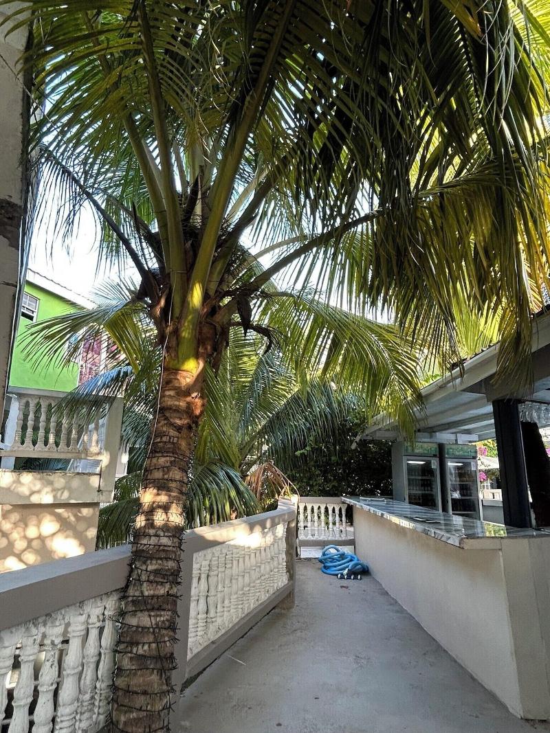 Bay Heights Bed And Breakfast image