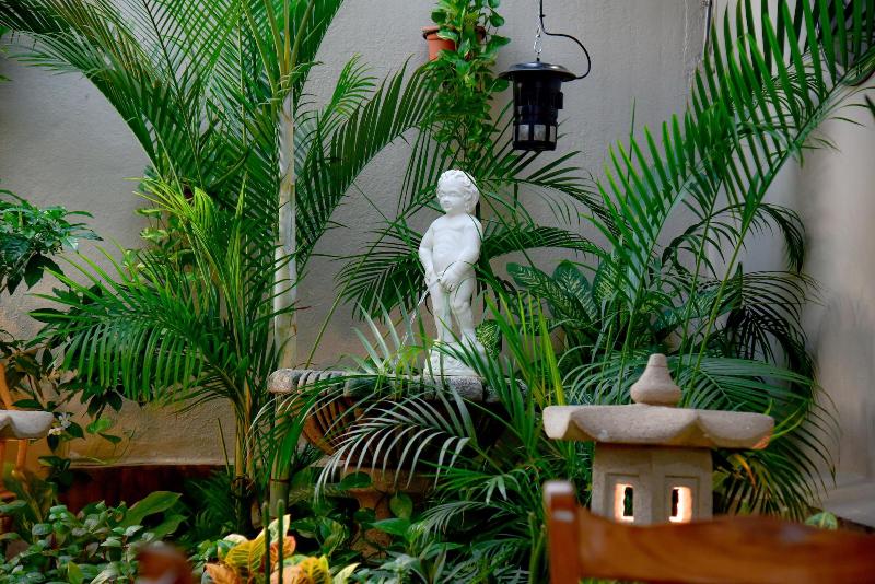 Hotel Xolotla N image