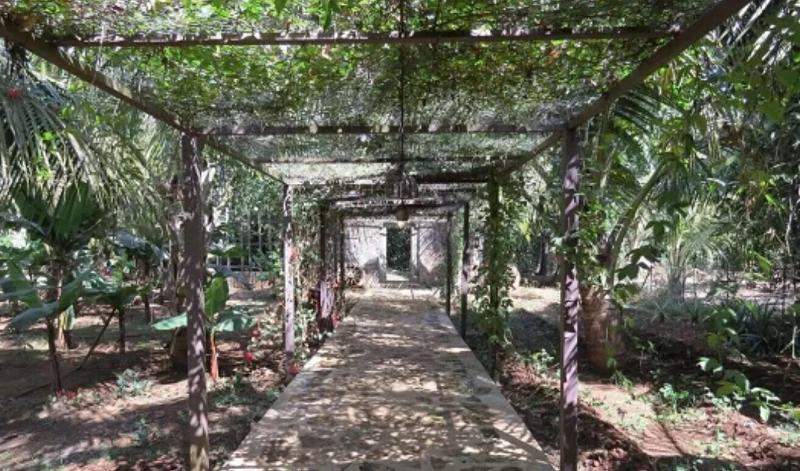Jalsrushti Island Resort image