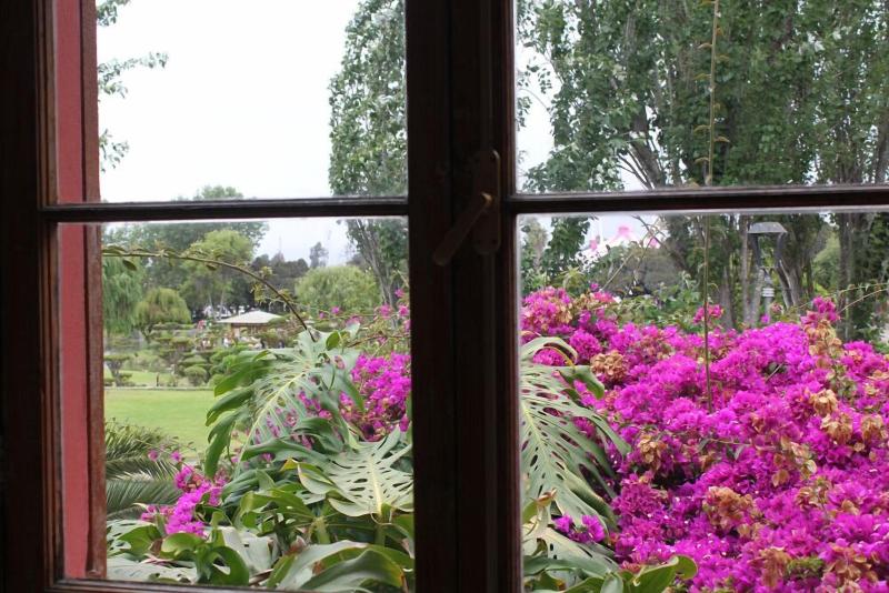El Arbol Hostel image