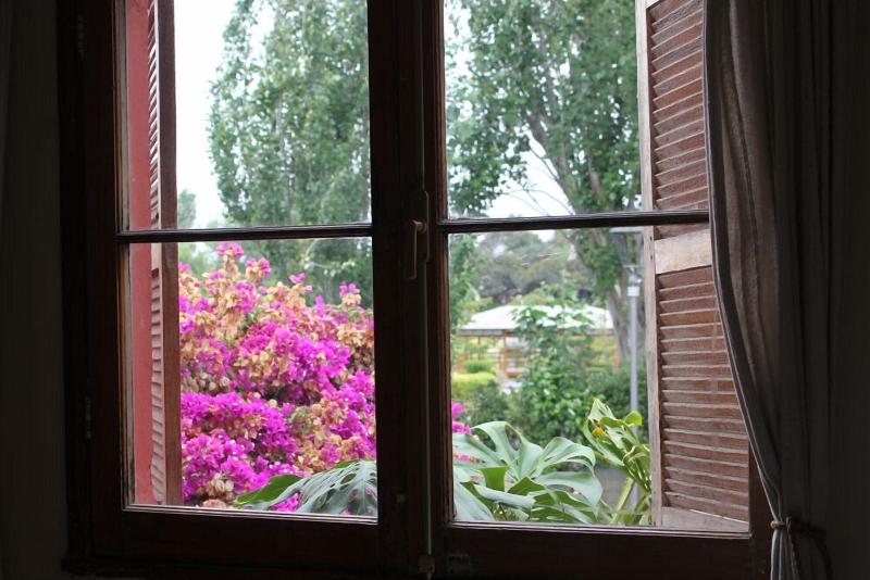 El Arbol Hostel image