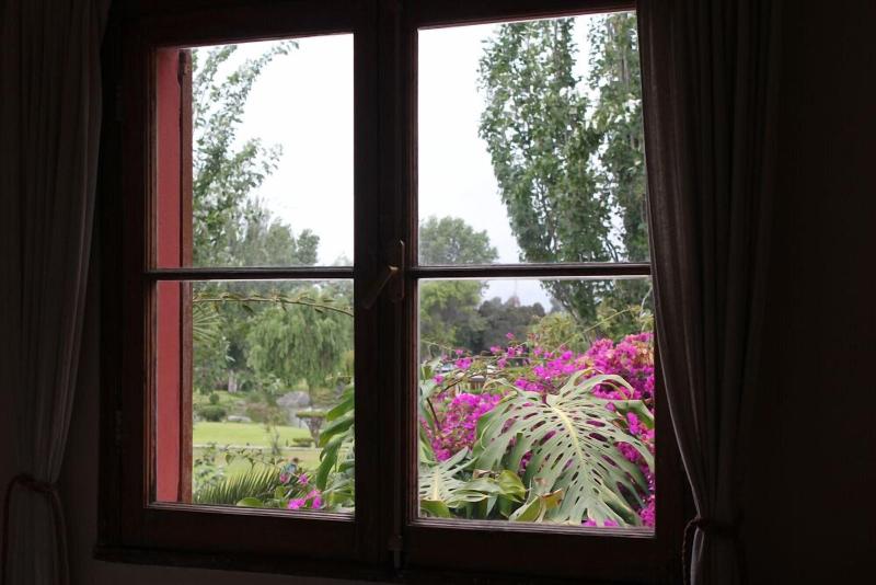 El Arbol Hostel image