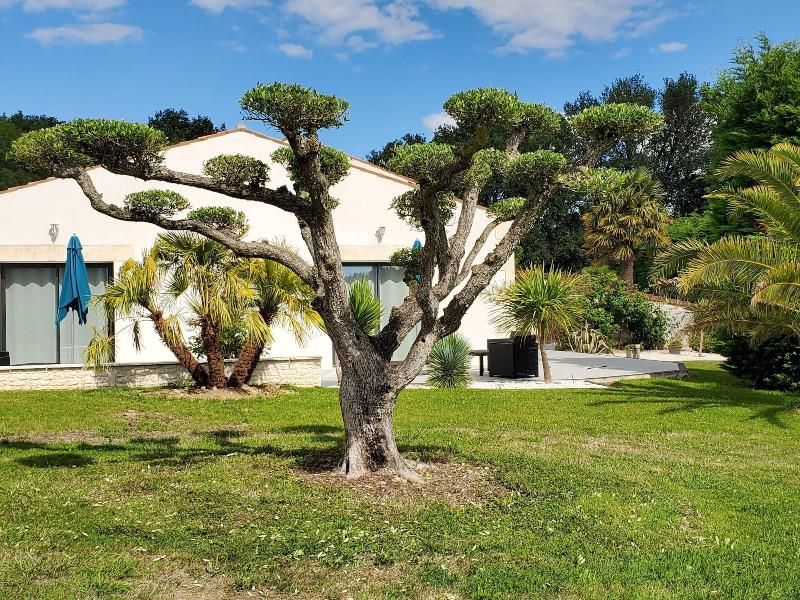 Les Cuves image