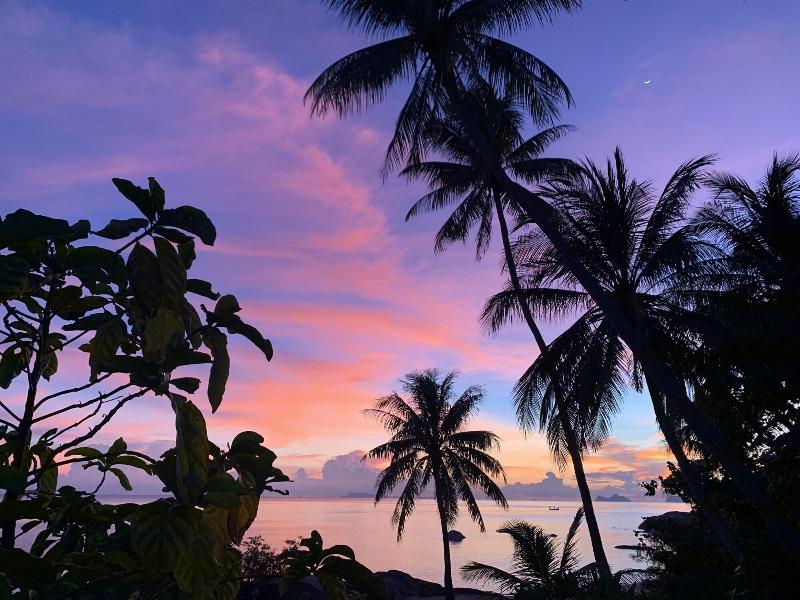 Somewhere Only We Know Resort — general view