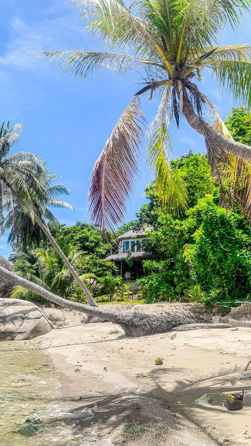 Somewhere Only We Know Resort image