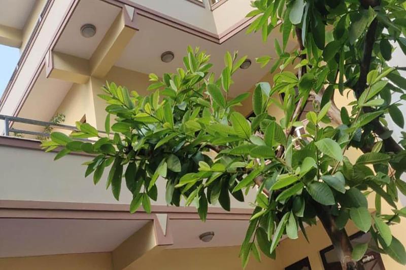 Samakhusi Deluxe Apartment image