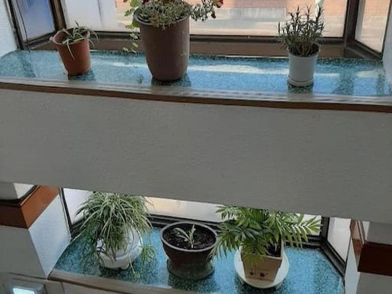 Healinghouse Peakjang — photo 2