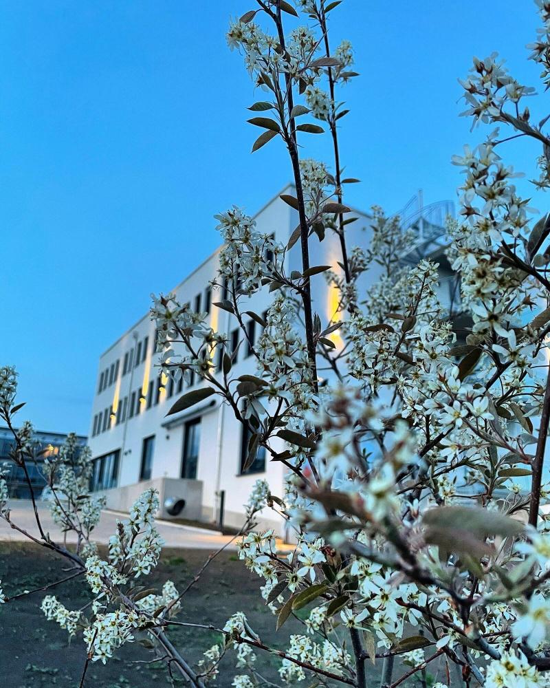 Hotel Poellners image