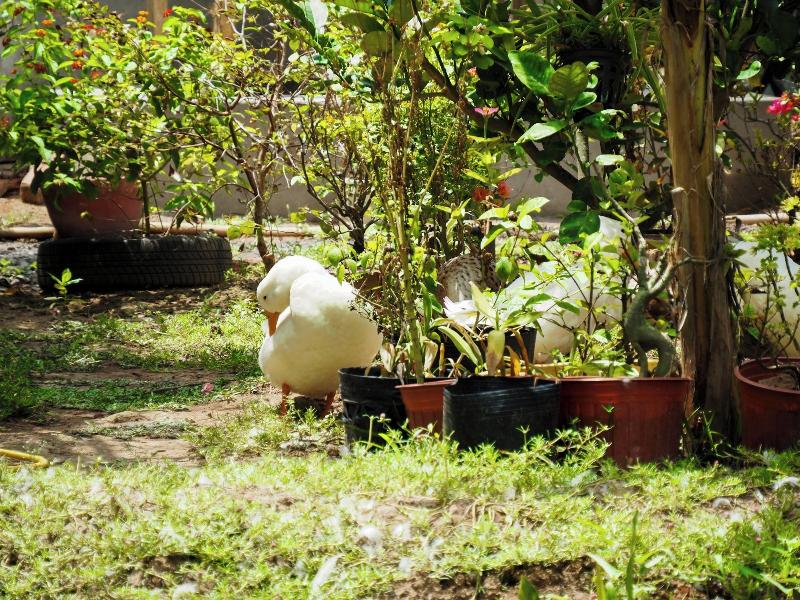 Coco Happy Farmstay