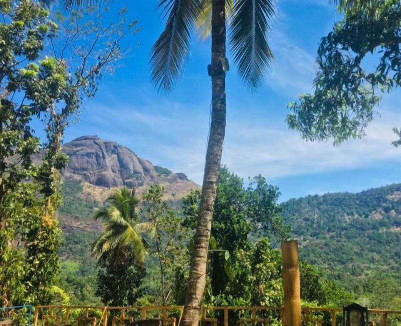 Homely Stay Balana Kapolla image