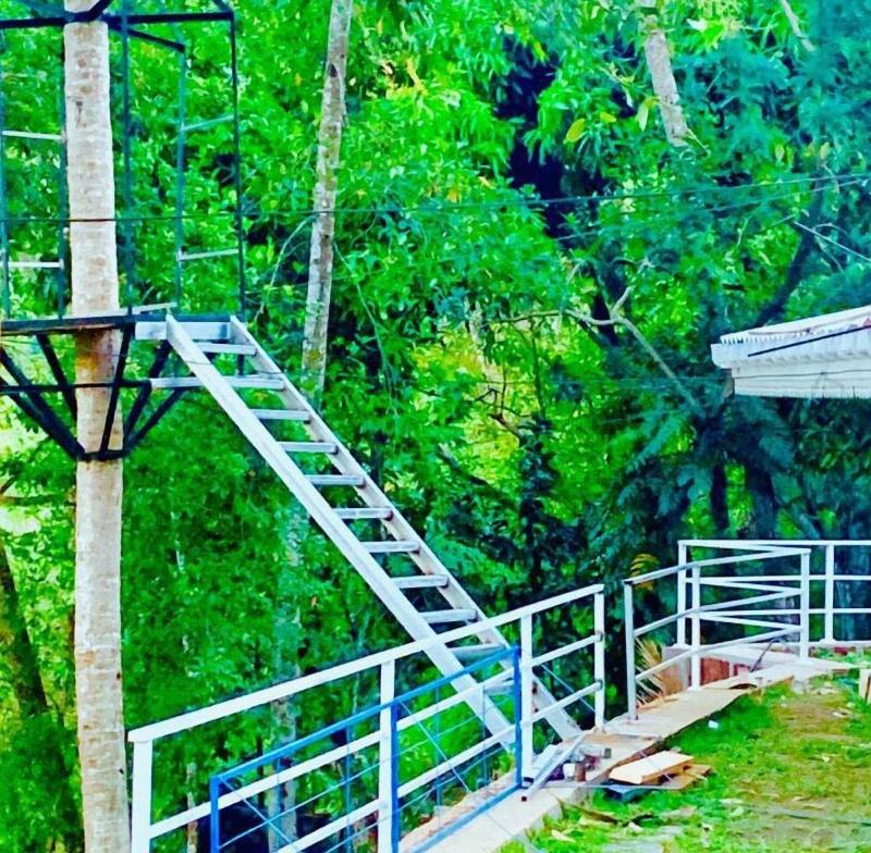 Homely Stay Balana Kapolla image