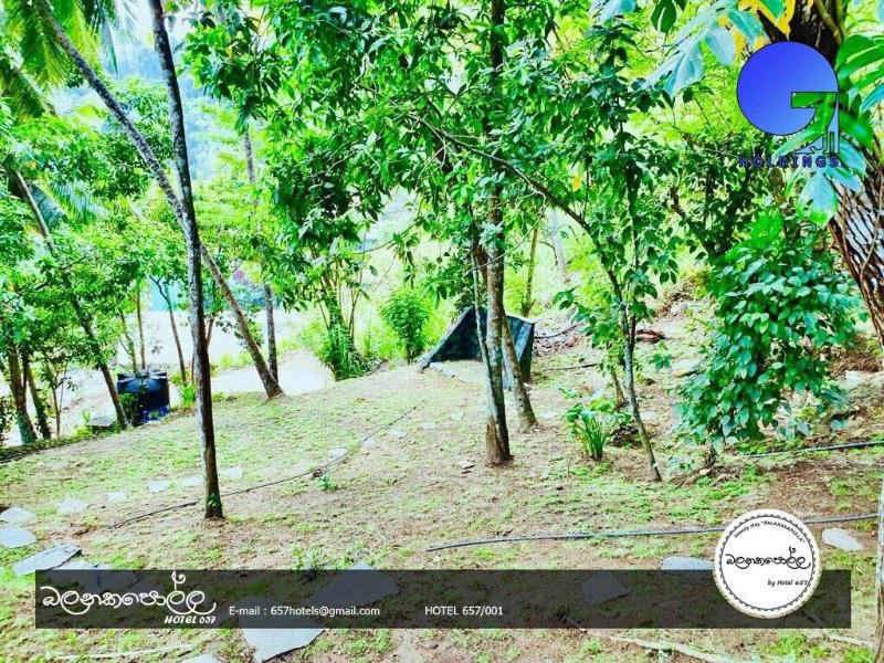 Homely Stay Balana Kapolla image