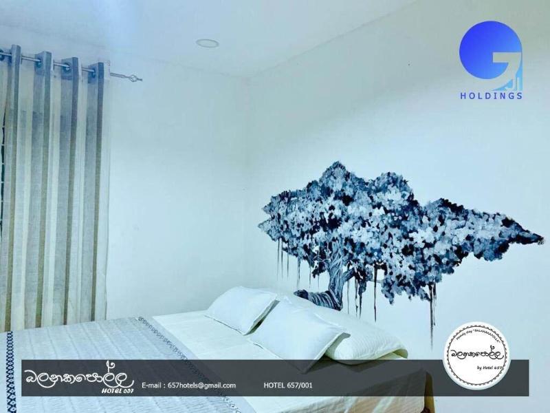 Homely Stay Balana Kapolla image