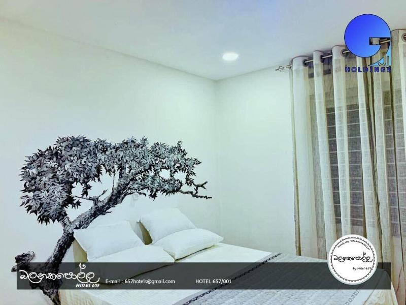 Homely Stay Balana Kapolla image