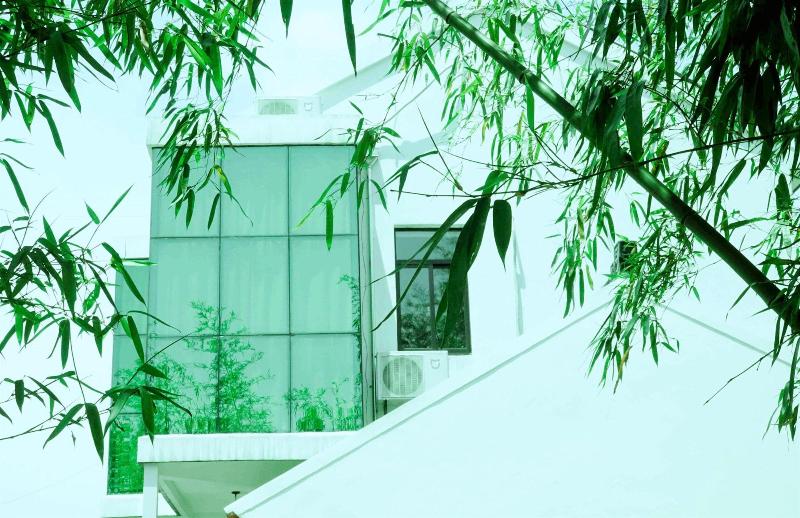 Csdy Guesthouse image
