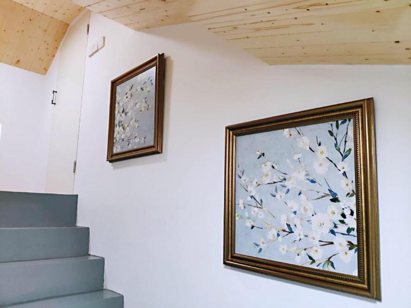 Csdy Guesthouse image