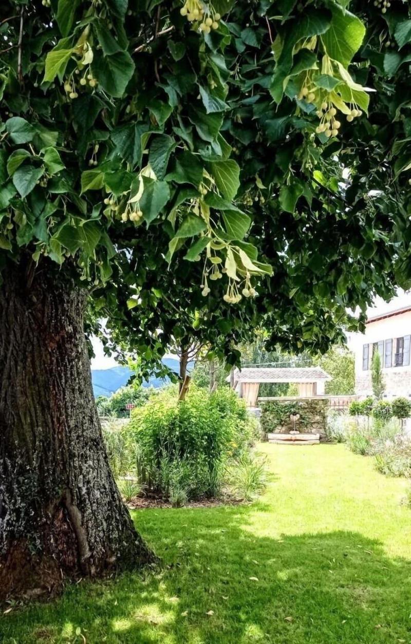 Ha Tel Villa Alexandre — photo 2