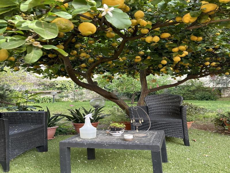 Bed And Breakfast L Abete image