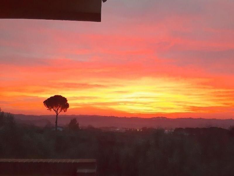 Il Girasole image