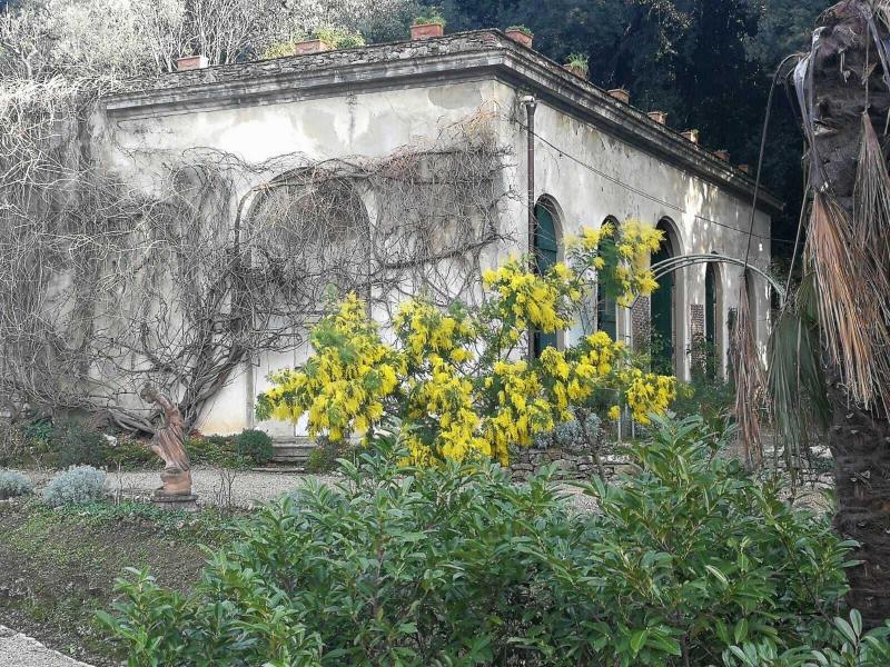 Villa Rucellai image