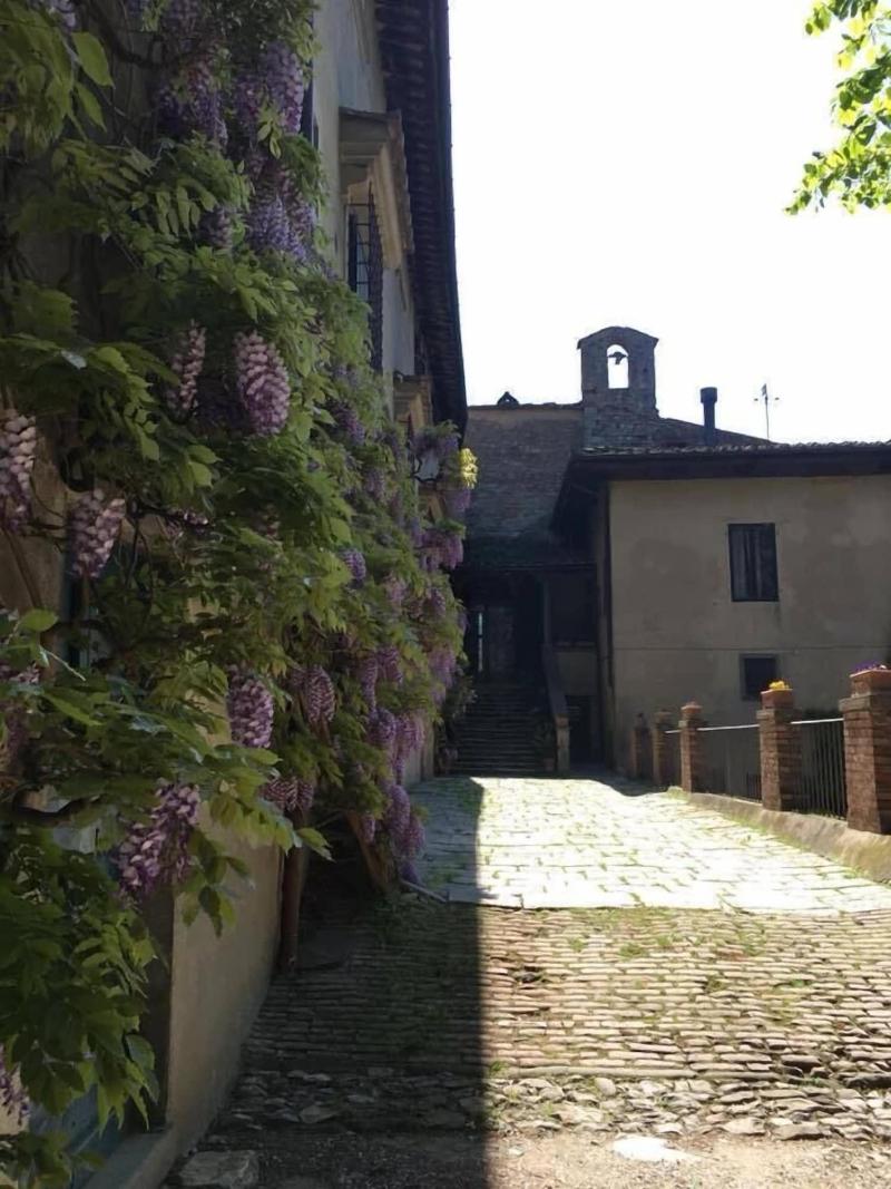 Villa Rucellai image