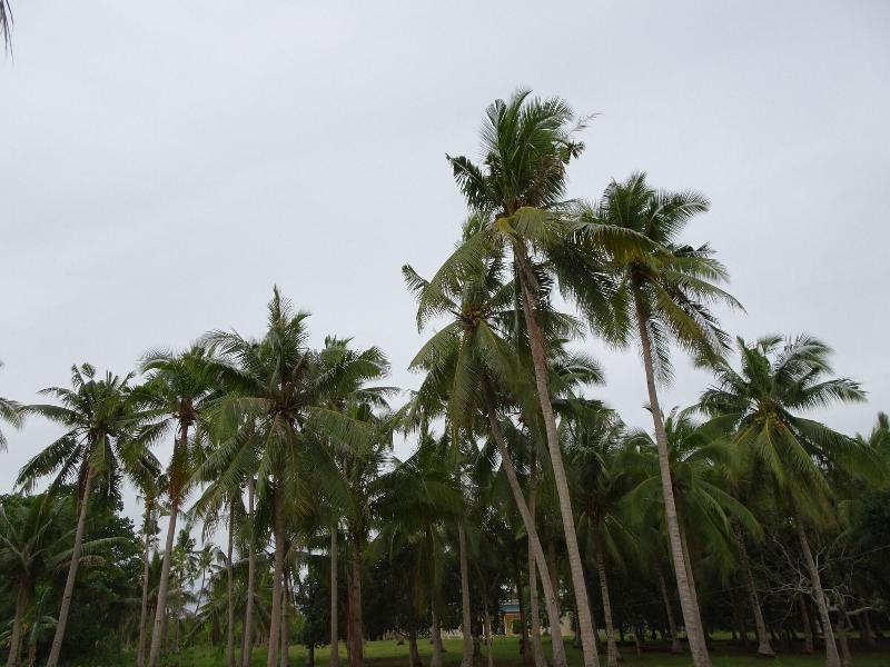 Selectum Mangrove Resort image